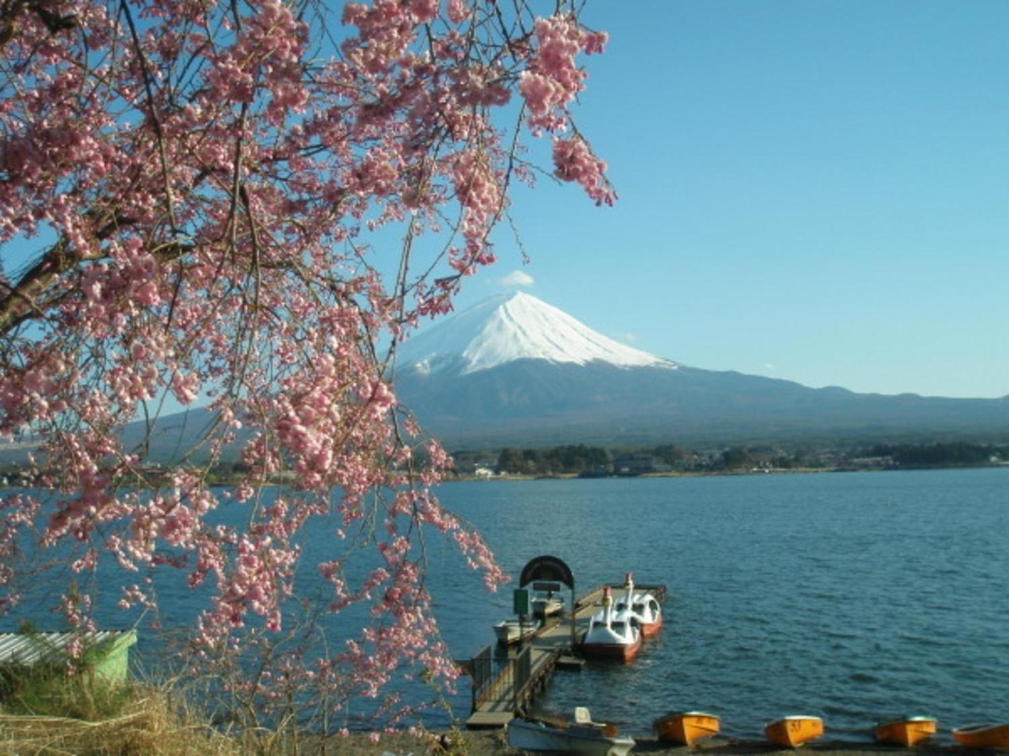 Lake Kawaguchi Rental Villa Tozawa Center - Vacation Stay 46850V 富士河口湖 外观 照片